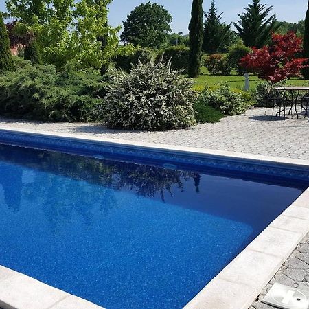 Logement Avec Piscine, Classe 3 Etoiles, De 42 M2 Tout Confort Au Calme Pour Un Couple Cahuzac-sur-Vère Exteriér fotografie